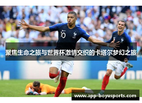聚焦生命之旅与世界杯激情交织的卡塔尔梦幻之旅