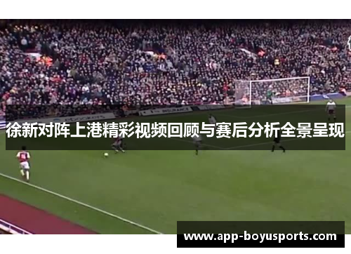 徐新对阵上港精彩视频回顾与赛后分析全景呈现